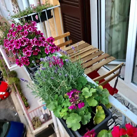 Casa De Rosas Pensionat Bari