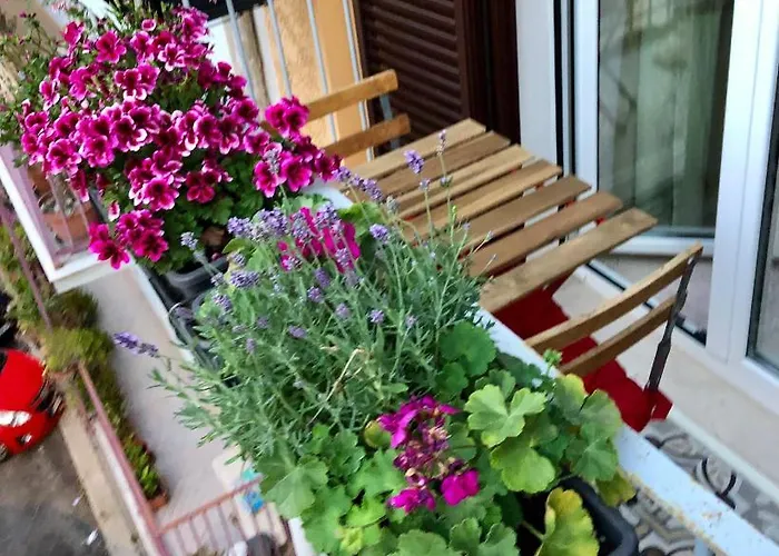 Casa De Rosas 게스트하우스 바리